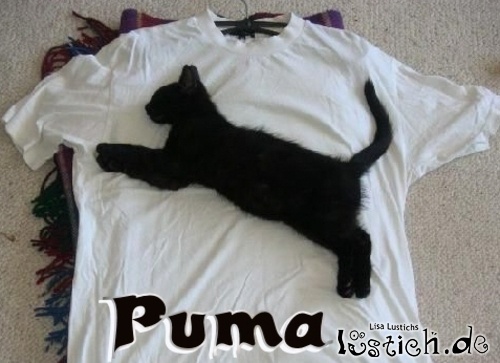 Puma Puma