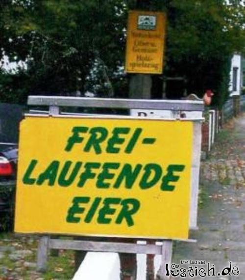Freilaufende Eier Freilaufende Eier