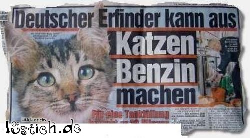 Katzenbenzin Katzenbenzin