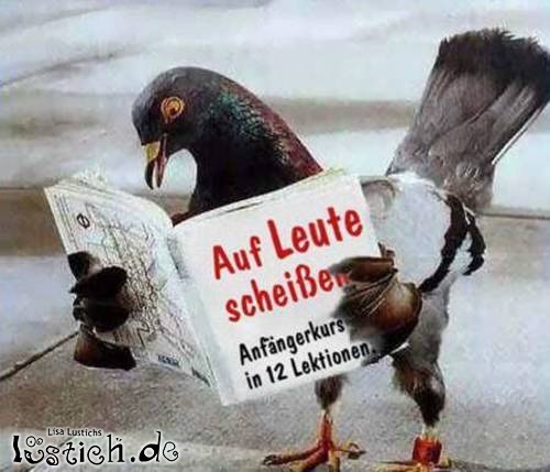 Auf Leute scheißen Auf Leute scheißen