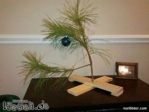 Unser Weihnachtsbaum