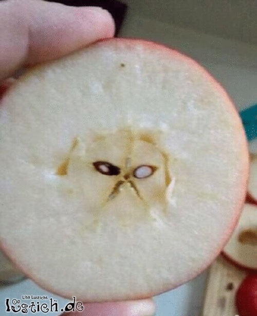 Wütender Apfel