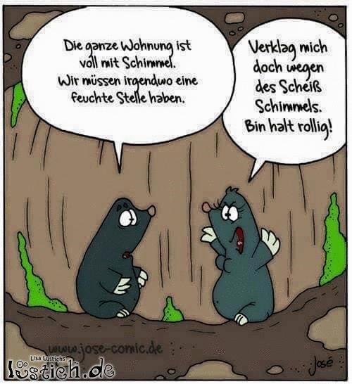 Maulwürfe Bild lustich.de