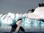 Wal frisst Pinguine