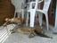 Einfach nur chillen
