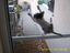 Fliegende Katze