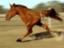 Pferd mal anders