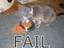 Arme hungrige Katze