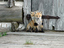 Verstecke mich!
