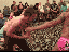 Dumm gelaufen (gif)