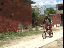 Jamaika Flugshow (gif)