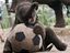 Fussballstar