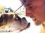 Hund und Herrchen Hund und Herrchen