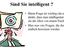 Intelligenztest