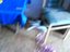 Katze spielt mit Luftballon